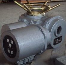 DZW15-24-A00-WK 電動執行器