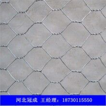 現貨供應重型六角網_重型六角網批發價格